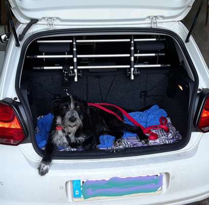 Die Dogorama Wochen Challenge-Beitrag-Bild