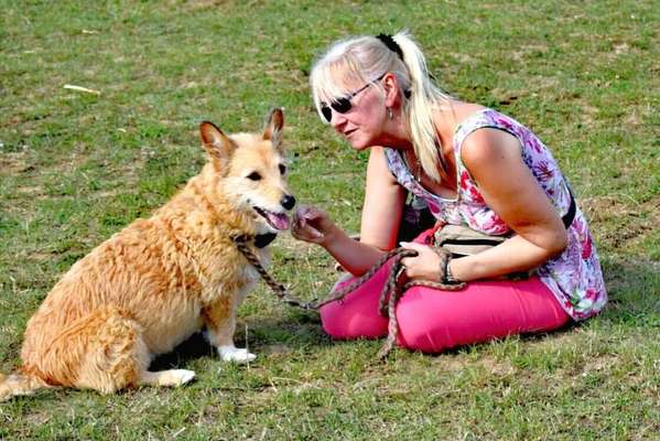 Challenge 33 - Du und dein Hund-Beitrag-Bild