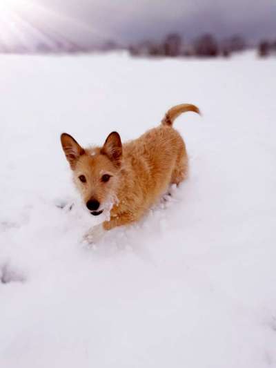 Challenge Nr. 15
Spiel im Schnee-Beitrag-Bild