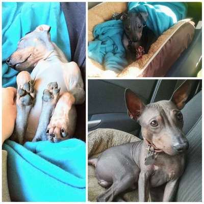 Vorher.... Nachher-Beitrag-Bild