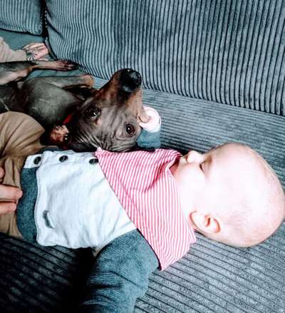 Schwangerschaft und der neue Nachwuchs-Beitrag-Bild