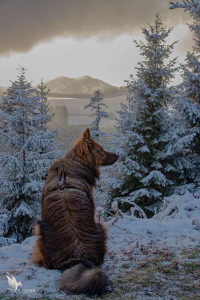 Lieblingsbild :D-Beitrag-Bild