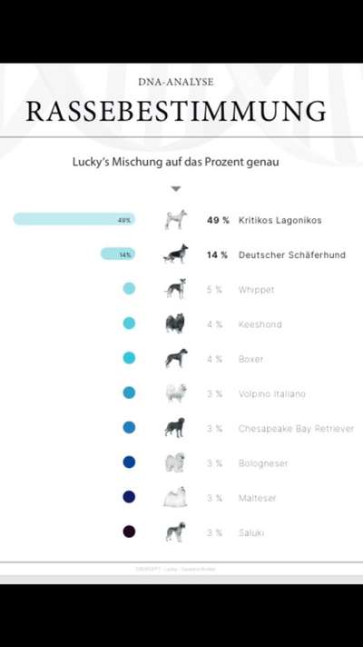KRITIKOS LAGONIKOS-Beitrag-Bild