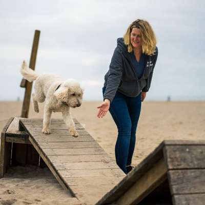 Giftköder-Hundetraining mit Herz und Verstand-Bild