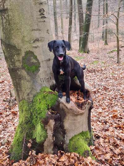 Fotowettbewerb Natur-Beitrag-Bild
