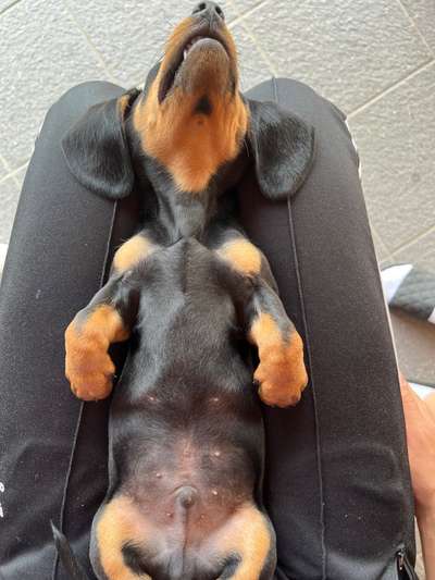 FOTO-Challenge  NR. 91: Die pure Entspannung-Beitrag-Bild