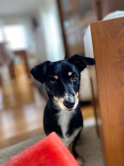 147. Foto Challenge: Bettelblick-Beitrag-Bild