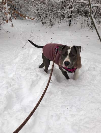 Fotochallenge 61 ~ Schnee-Beitrag-Bild