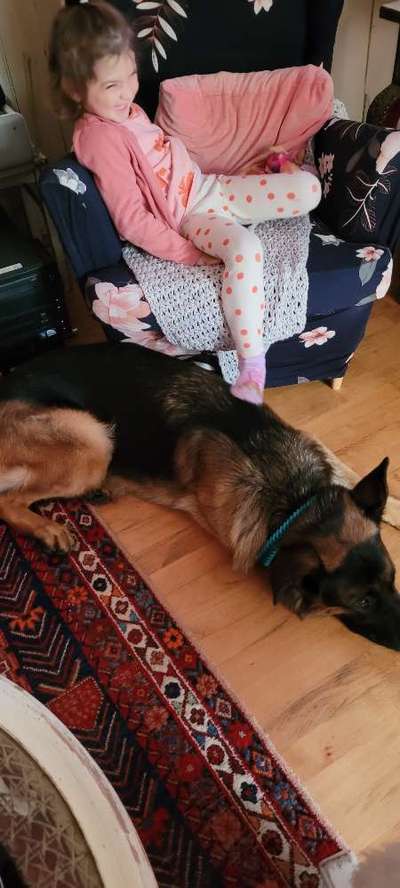 Kinder und Hunde auf dem Weg zum Dreamteam-Beitrag-Bild