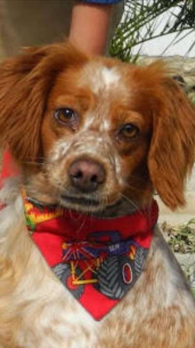 Fotochallange Nr. 57     PORTRÄT.   Beendet!!!!!!!!-Beitrag-Bild