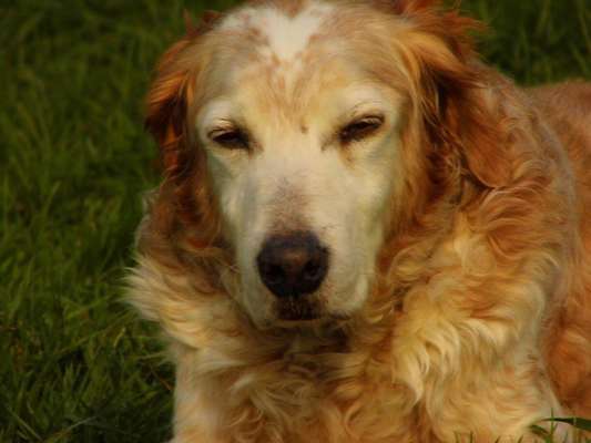 Fotochallange Nr. 57     PORTRÄT.   Beendet!!!!!!!!-Beitrag-Bild