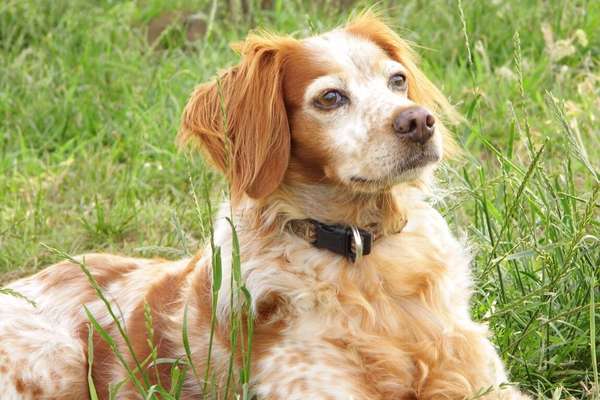 Fotochallange Nr. 57     PORTRÄT.   Beendet!!!!!!!!-Beitrag-Bild