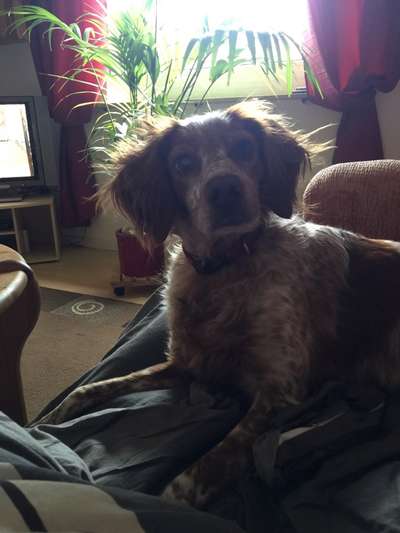 Lieblingsbild-Beitrag-Bild