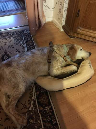 Lieblingsbild-Beitrag-Bild