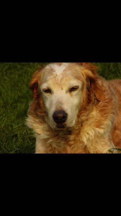 Fotochallange Nr. 57     PORTRÄT.   Beendet!!!!!!!!-Beitrag-Bild