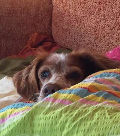 Lieblingsbild-Beitrag-Bild