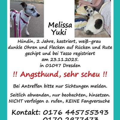 Suchmeldung-Melissa/Yuki-Bild