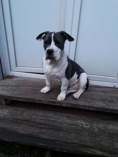 OEB Besitzer gesucht 😊-Beitrag-Bild