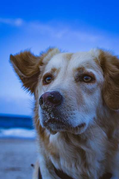 Fotochallenge 27-Beitrag-Bild