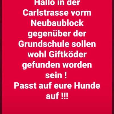 Giftköder-Giftköder-Bild