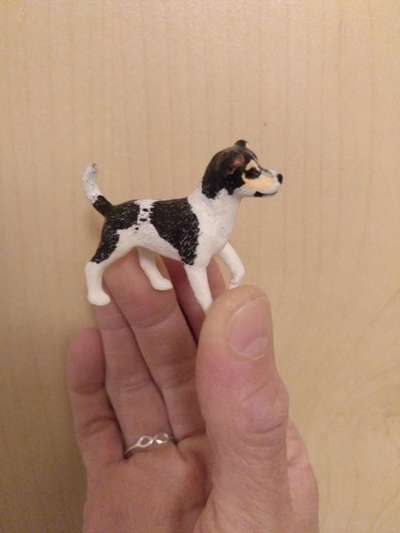 Doppelgänger gesucht !-Beitrag-Bild