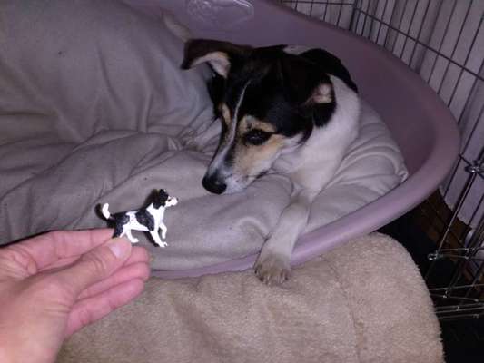 Doppelgänger gesucht !-Beitrag-Bild