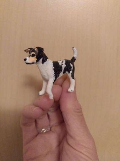 Doppelgänger gesucht !-Beitrag-Bild