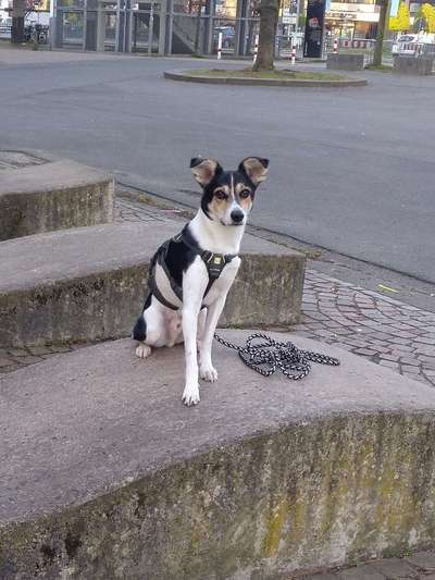 Doppelgänger gesucht !-Beitrag-Bild