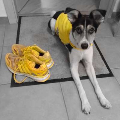 6. Farben Foto Challenge: "ColourKey Effekt"-Beitrag-Bild