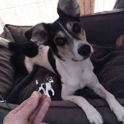 Fotochallenge 130-Beitrag-Bild