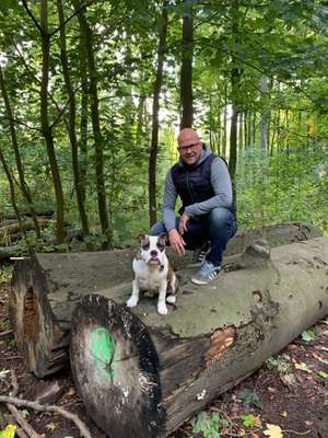 Hundetreffen-Gassi/spazieren auf dem Feld oder im Wald-Bild