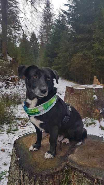 Zutreffende "Vorurteile"?-Beitrag-Bild