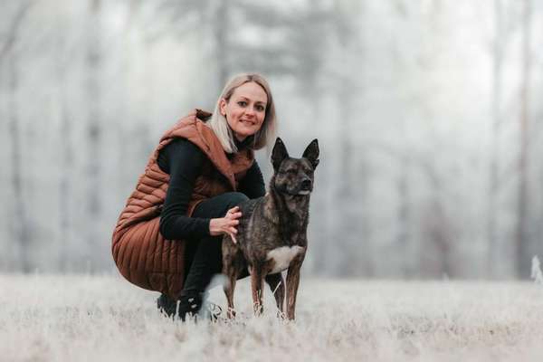 Hundeschulen-Hundeschule GUTES GEFÜHL -Bild