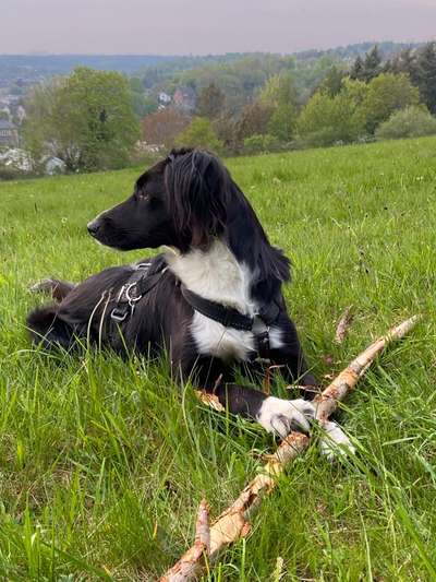 Moviestar-Pics!-Beitrag-Bild