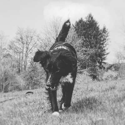 Lieblingsbild-Beitrag-Bild