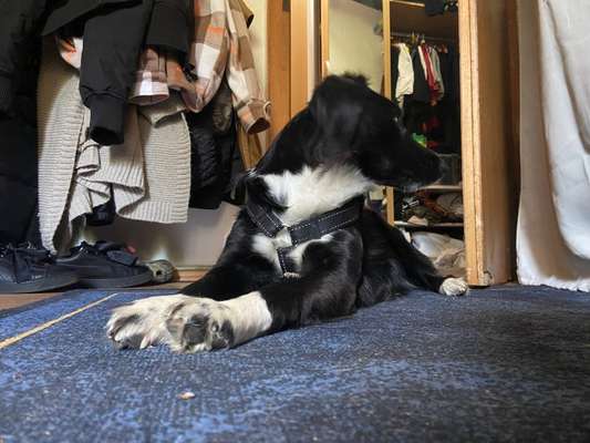 Foto-Challange No.1 - Alles aber nicht die Kamera-Beitrag-Bild