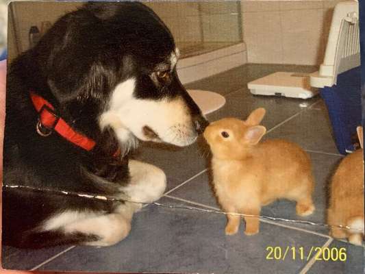 Lieblings Schnappschuss?-Beitrag-Bild