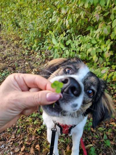 Handy-Foto-Challange Nr.9-Beitrag-Bild