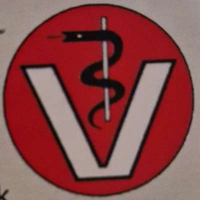 Tierärzte-Kleintierklinik-Bild