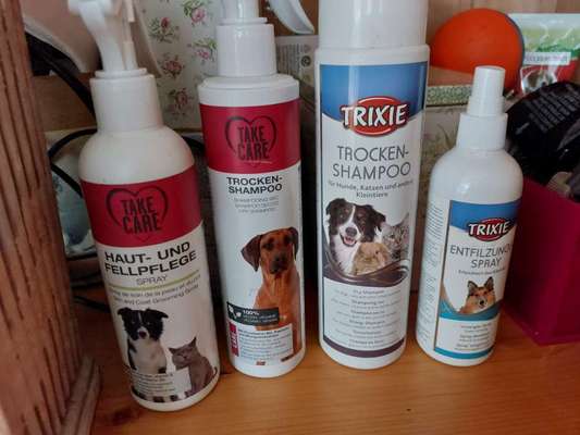 Wasserscheuer Hund und Duschprozedere-Beitrag-Bild