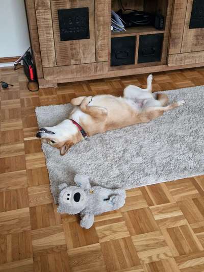 147. Foto Challenge: Bettelblick-Beitrag-Bild