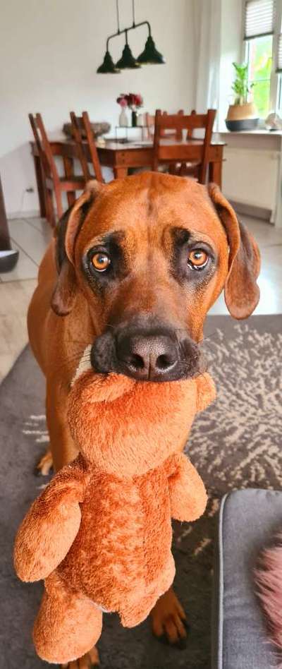 Fotochallenge Nr. 64-Beitrag-Bild