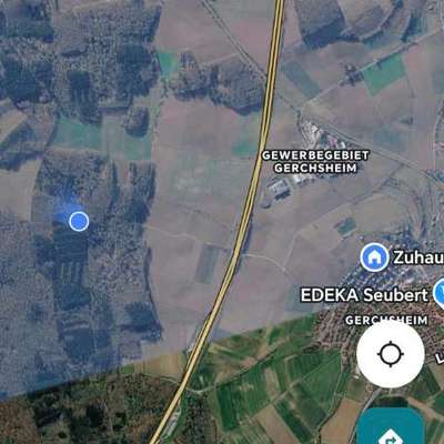 Giftköder-Eichenprozessionsspinner in Maßen-Bild