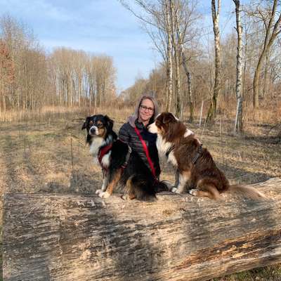 Hundetreffen-Gemeinsame Gassirunden-Profilbild