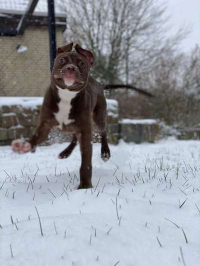 Challenge Nr. 15
Spiel im Schnee-Beitrag-Bild