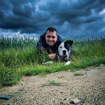 Hundetreffen-Gassi/Spielrunde-Profilbild