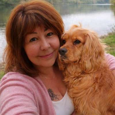 Hundetreffen-Gemeinsame Spaziergänge und Spielen