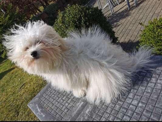 FOTO CHALLENGE Thema ,,durchdrehen"-Beitrag-Bild