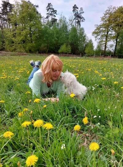 69. Handy-Fotochallenge: Soundtrack-Beitrag-Bild