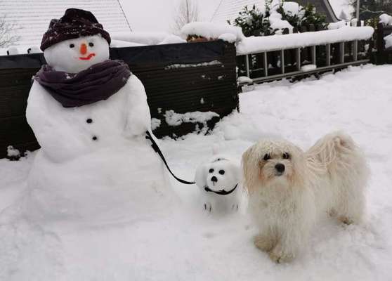 1. Fotochallenge Collagen - 4 Jahreszeiten-Beitrag-Bild
